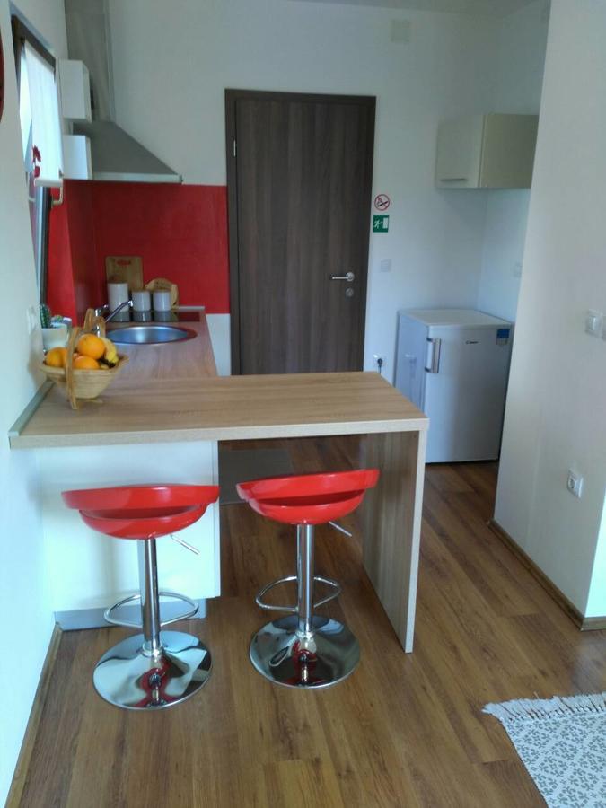 Apartment Bozac ロヴィニ エクステリア 写真