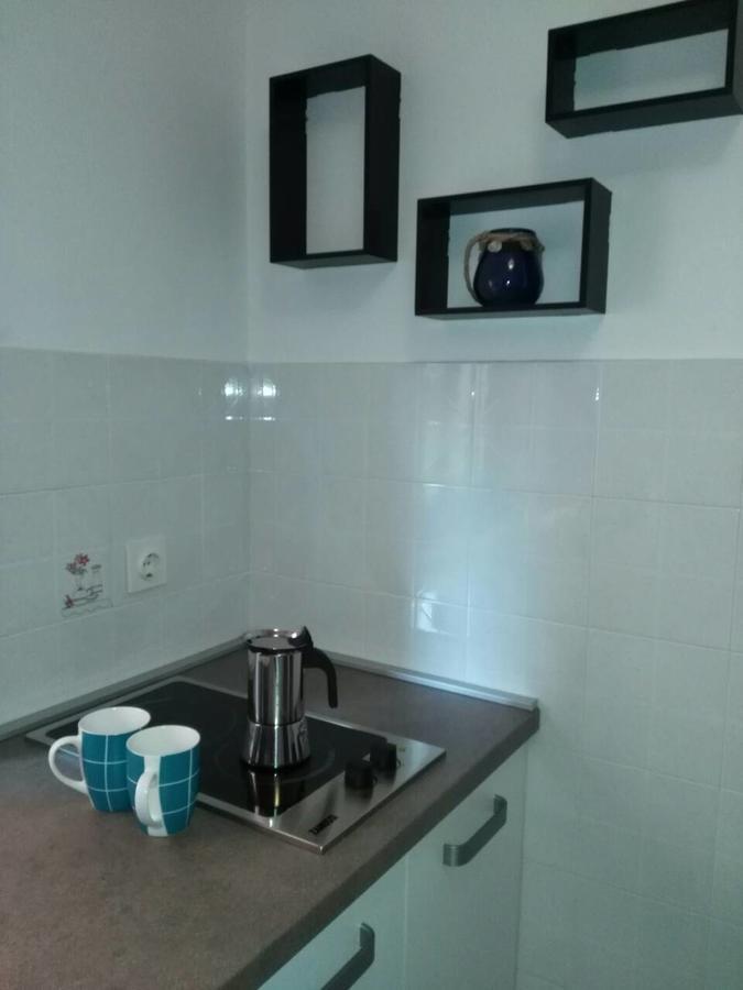 Apartment Bozac ロヴィニ エクステリア 写真